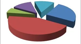 financialounge -  asset allocation Banca d'Italia come investire diversificazione euro italia livello di rischio rating