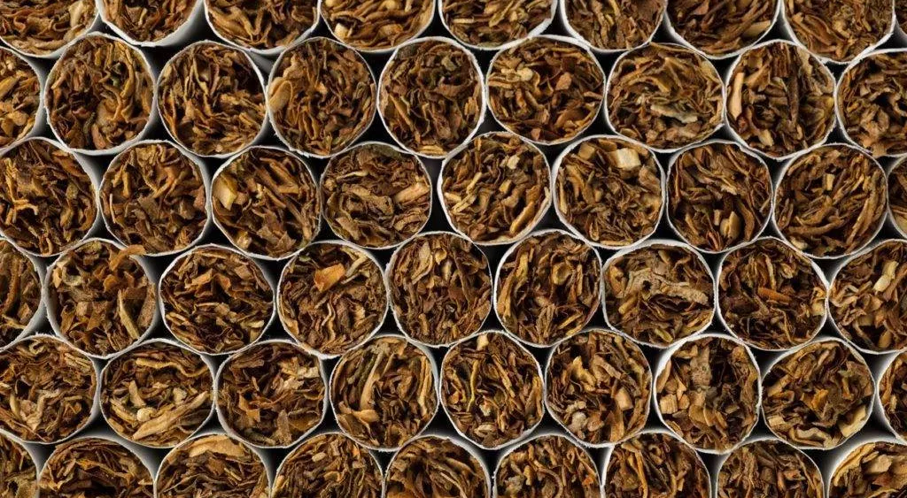 financialounge -  Bruno Paulson Morgan Stanley rendimenti tabacco USA William Lock