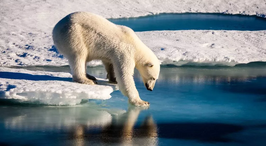 financialounge -  cambiamento climatico COP26 decarbonizzazione Earth Day Emissioni gas serra investitori Nazioni Unite Neutralizzazione Robeco