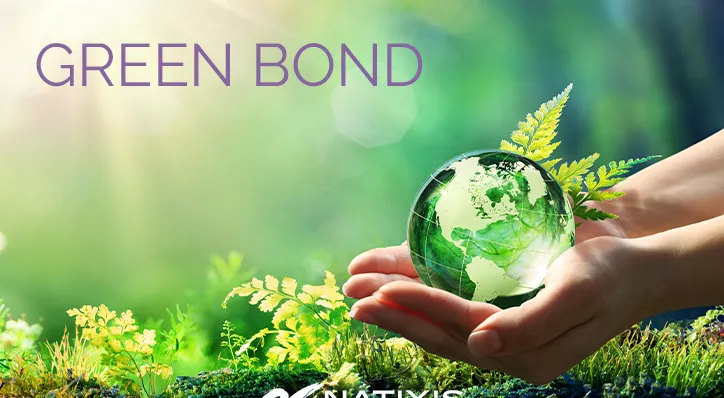 financialounge -  Antonio Bottillo Bertrand Rocher green bond Mirova Natixis IM