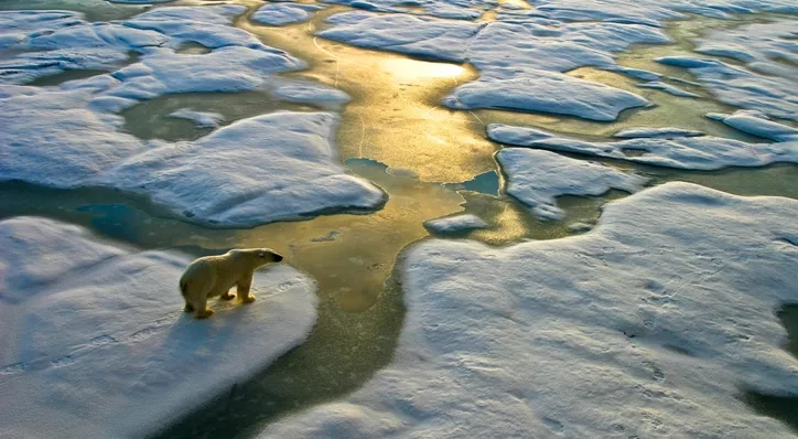 financialounge -  Andrew Howard ecosostenibilità emissioni di carbonio ESG riscaldamento globale Schroders