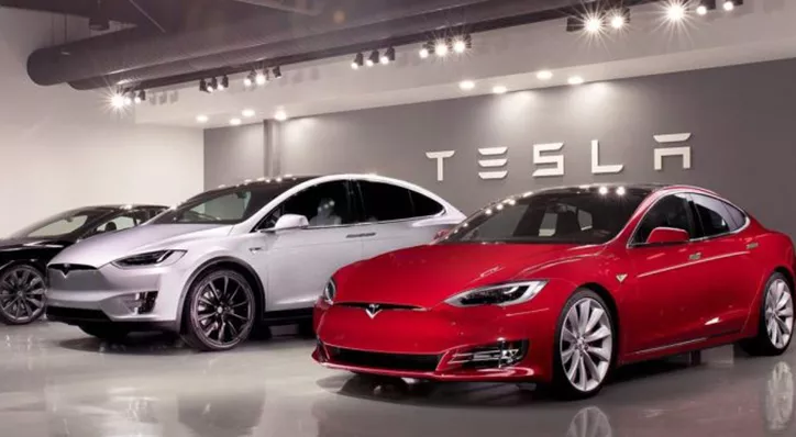 financialounge -  Anthony Ginsberg auto elettriche Batteria ESG smart Tesla