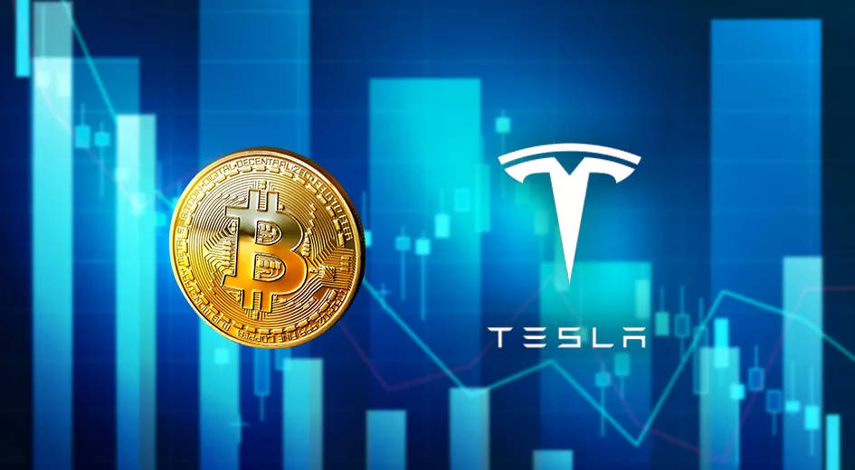 financialounge -  bitcoin criptomonete Elon Musk Tesla