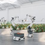 Food innovation, tre titoli da tenere d’occhio secondo algoritmi e intelligenza artificiale