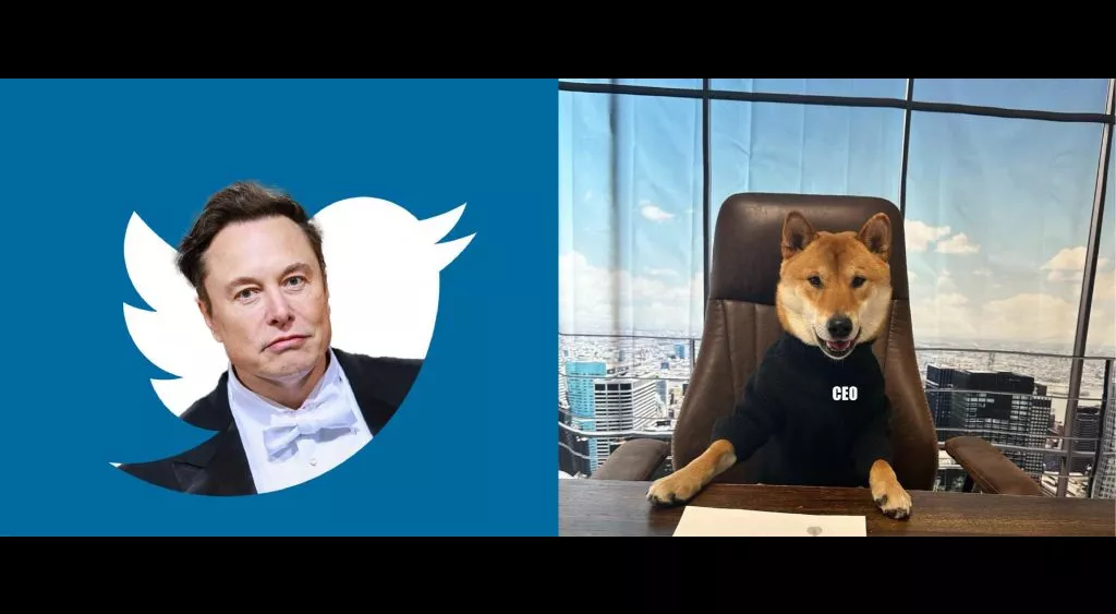 financialounge -  Dogecoin Elon Musk smart twitter