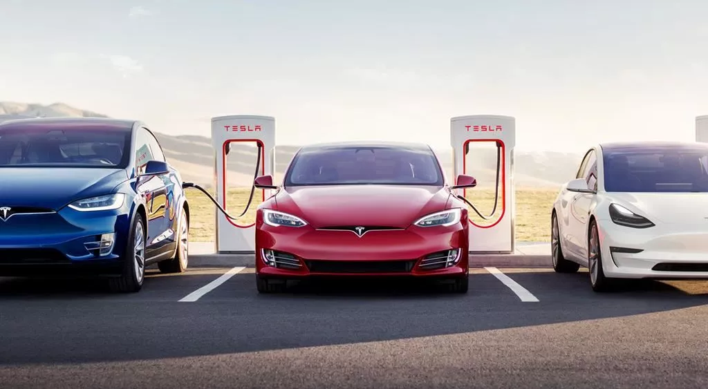 financialounge -  auto elettrica byd Redwood Tesla