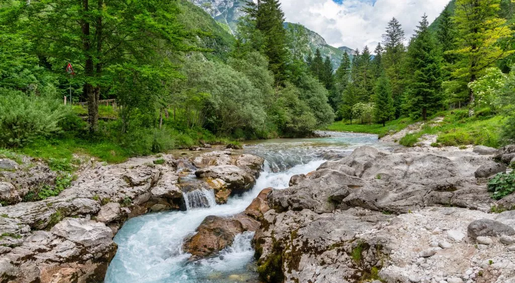 financialounge -  Biodiversità ESG Etica Sgr good