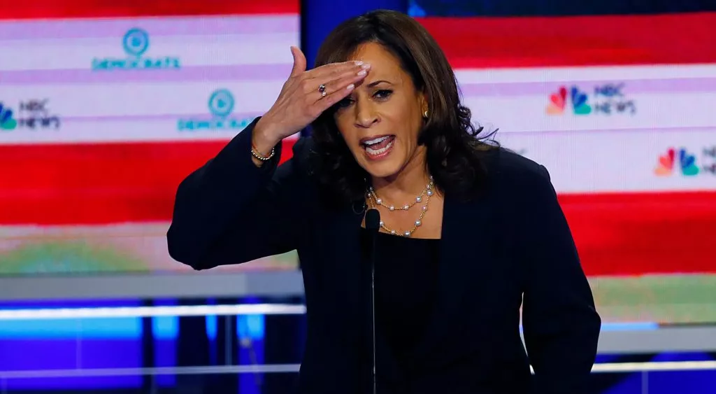 financialounge -  elezioni usa 2024 Kamala Harris The Contrarian