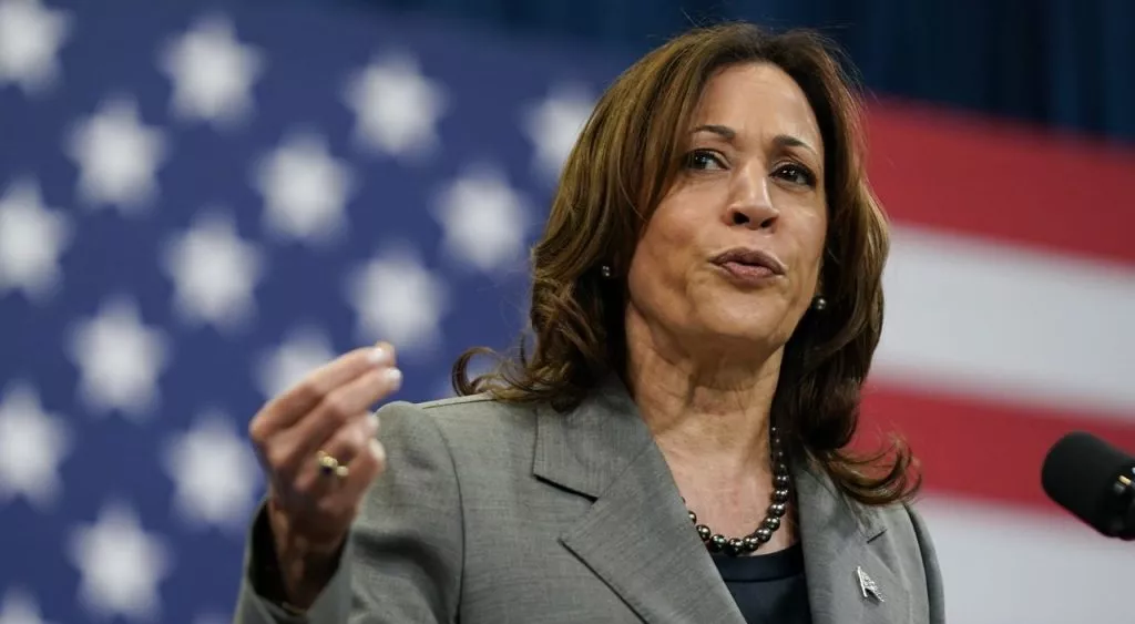 financialounge -  elezioni usa 2024 Kamala Harris mercati The Contrarian