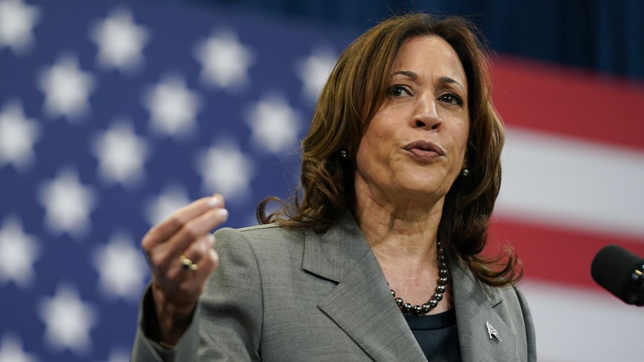 financialounge -  elezioni usa 2024 Kamala Harris mercati The Contrarian